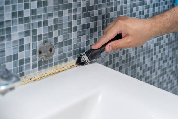 Best Insurance-Related Mold Remediation in Village Of Oak Creek, AZ